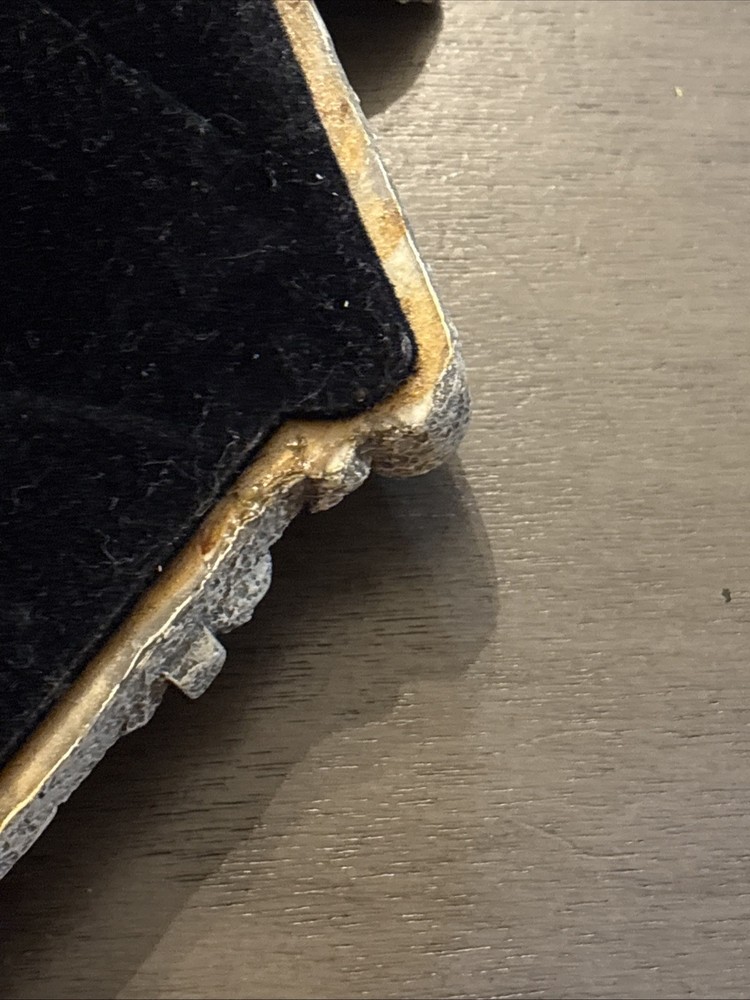 Gargoyle Picture Frame Gray Resin