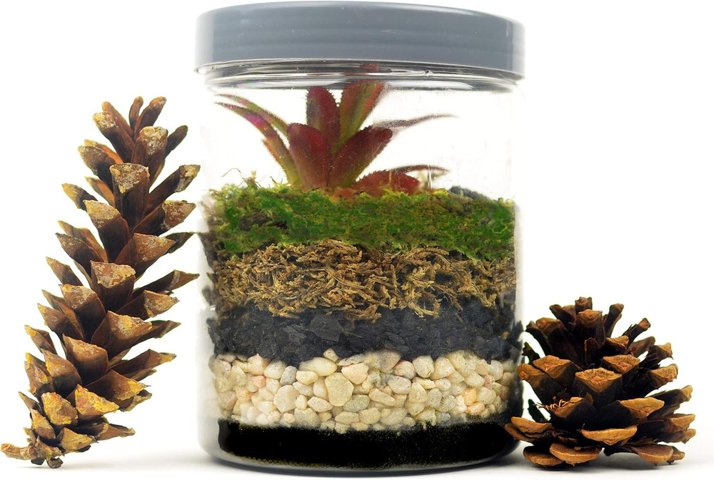 Black Sand Soil Cover, 5 Lb.