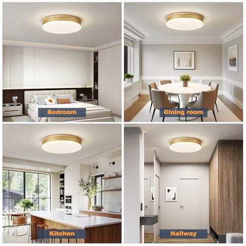 Modern Dimmable Ceiling Light with Remote, 11.8in Flush Mount Ceiling Gold