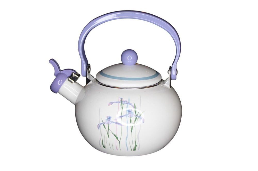 Whistling Tea Kettle Flat Bottom Kettle