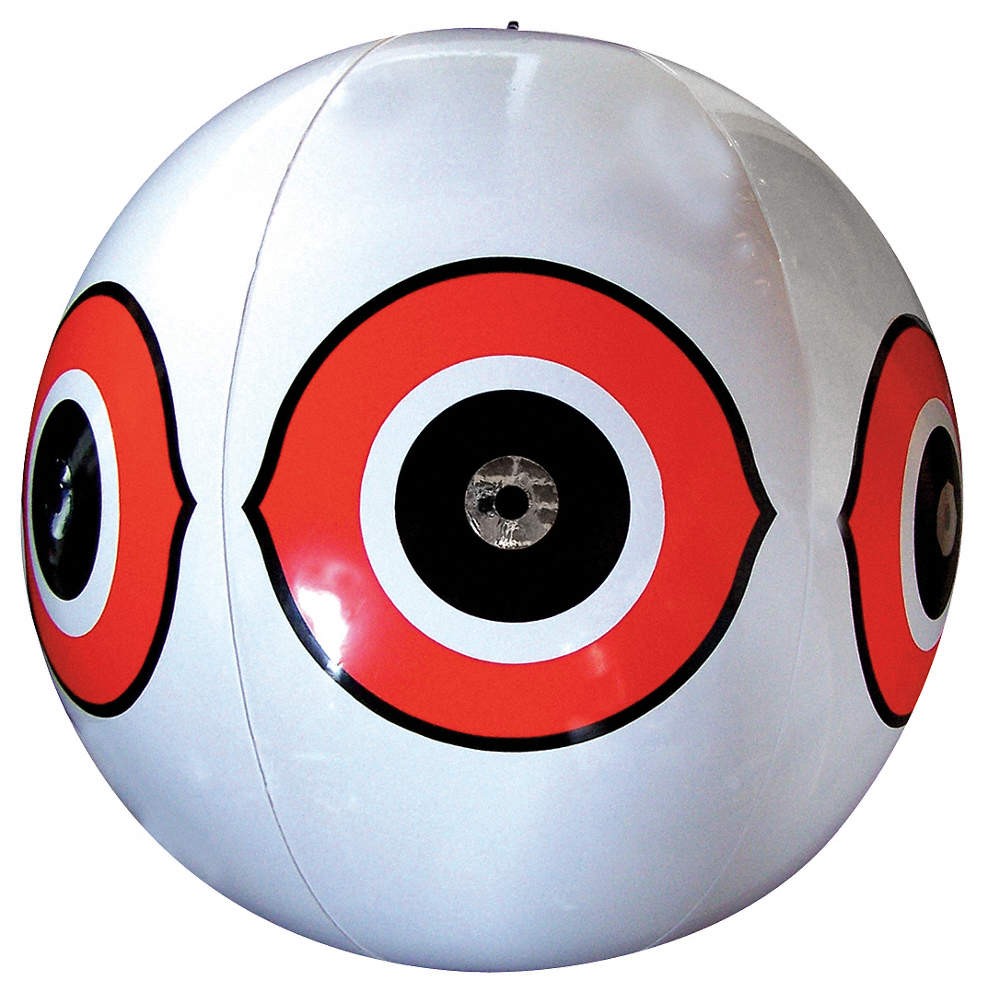 BIRD-X WHITE SCARE EYES Visual Bird Repellers,White,Vinyl 8DCF9