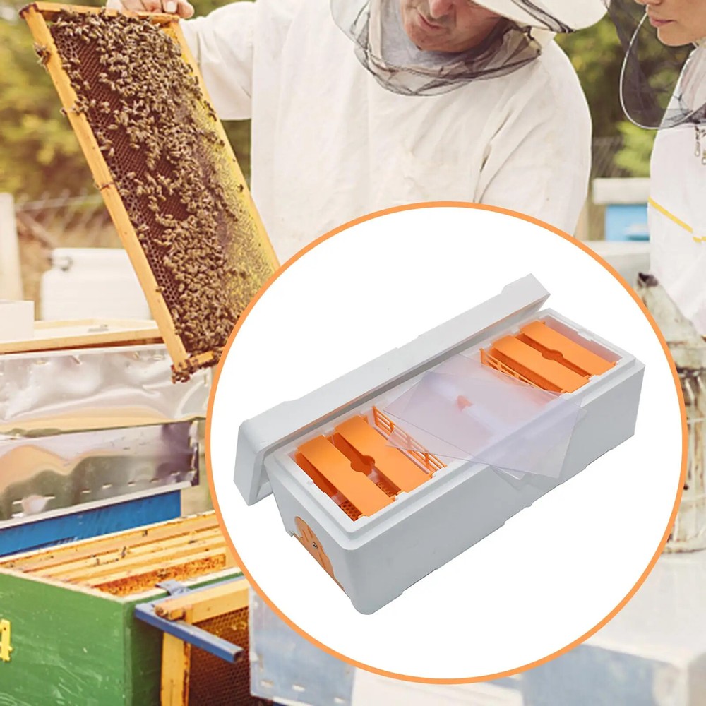 Bee Mating Box Beekeeping Box Beekeeping Tools Bee Mating Hives Beekeeping Tool