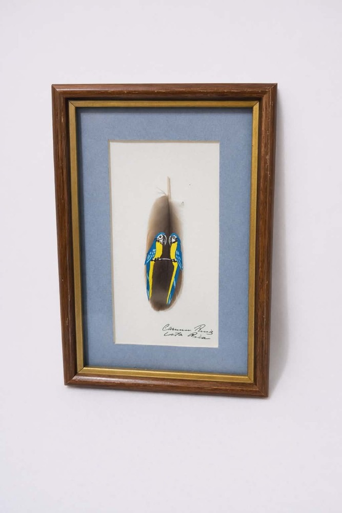 Handpainted Framed Feathers Art Parrots Birds Signed