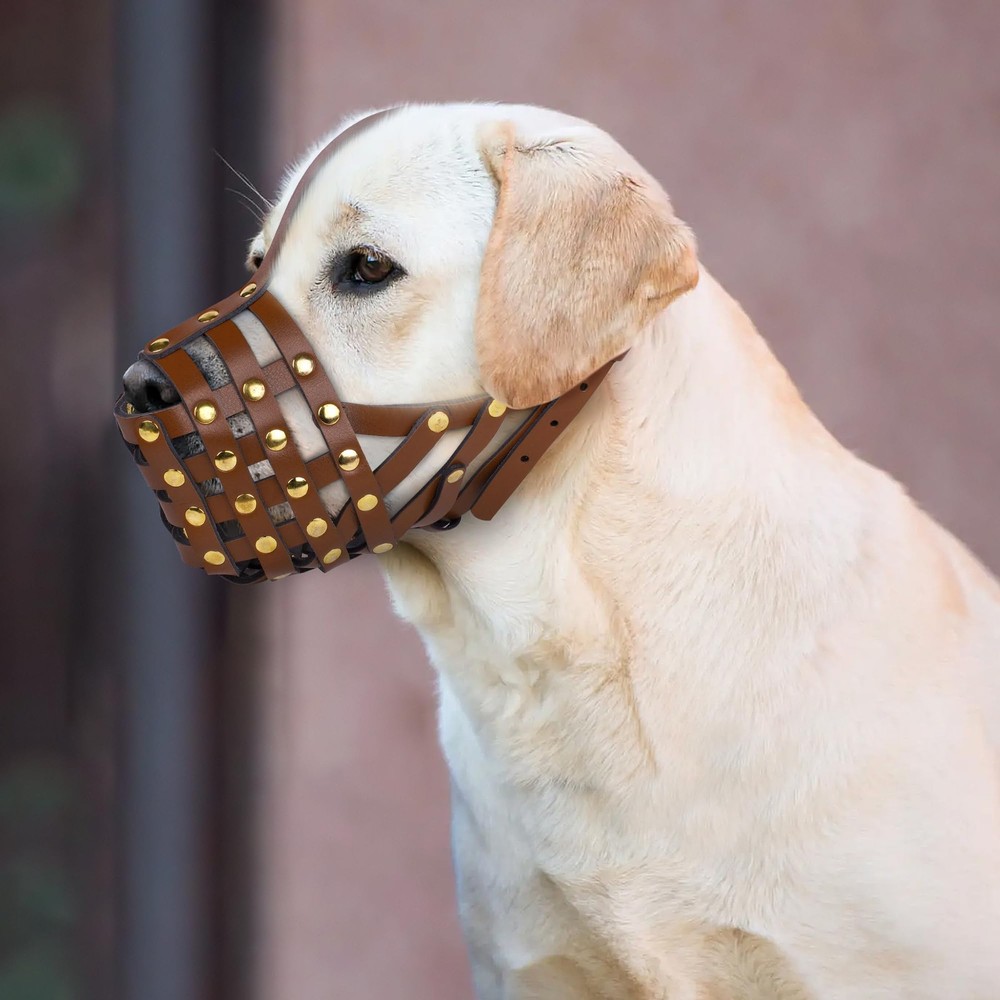 Labrador Dog Muzzle for Large Dogs - Leather Breathable Secure Basket Muzzle ...
