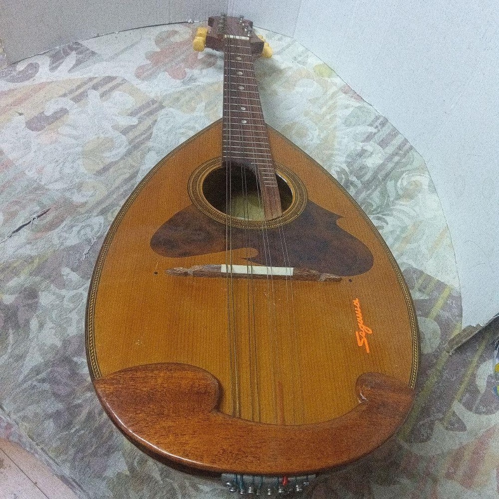 Mandolin body