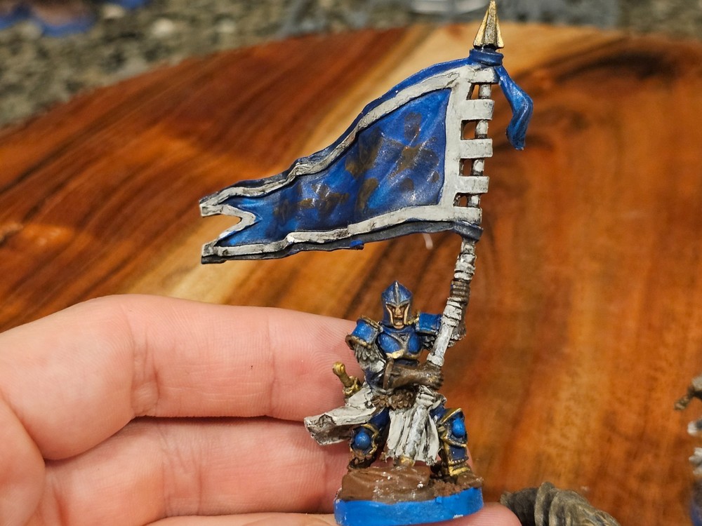 FFG Runewars Miniatures Game Daqan - Infantry Command Unit Expansion Painted