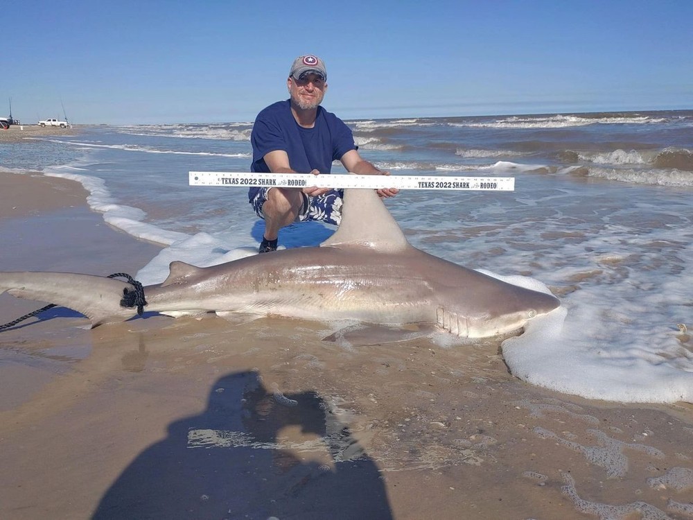 Stinger Series - 25ft Deployment Shark Leader - 600lb Class