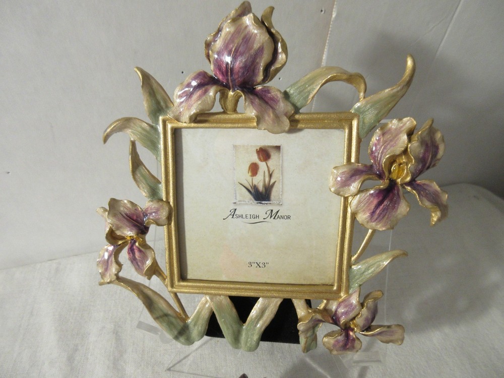 Just Nan SPARKLING IRIS FRAMES- YOU CHOOSE!