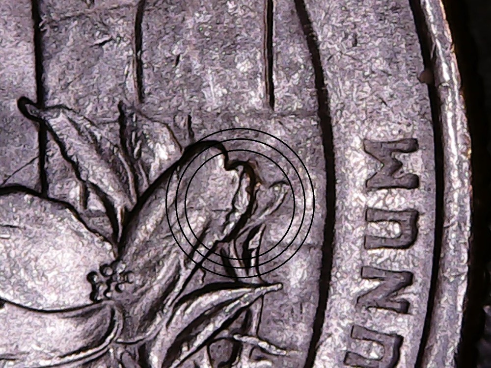 2015 P Blue Ridge Parkway ATB Quarter Die Chip Error. Caterpillar on a Leaf.