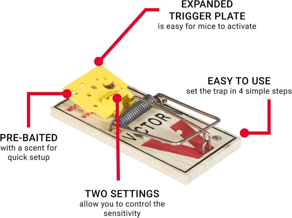 Set Wooden Snap Trap - 12 Pack
