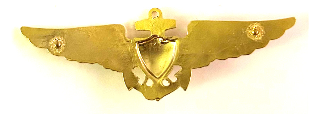 US Navy Astronaut Naval Pilot Badge / Wings