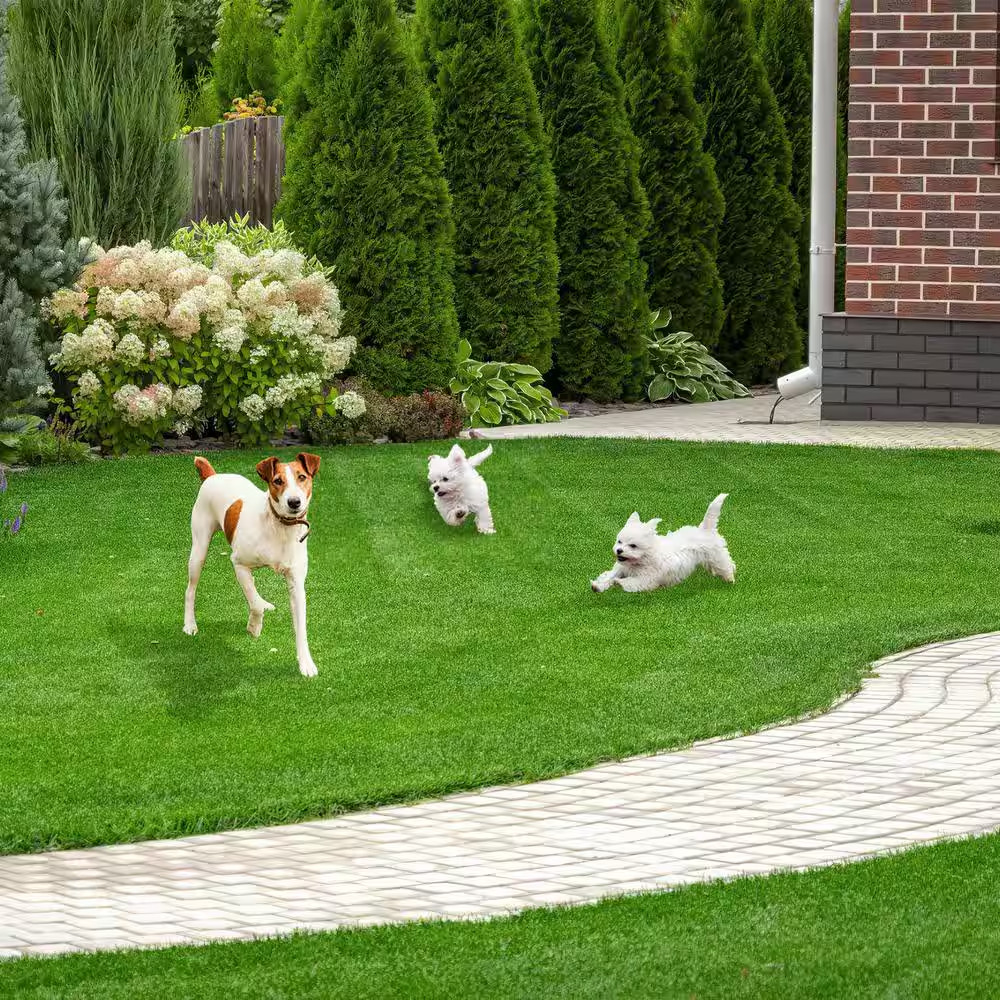 6.6 Ft. X 13 Ft. Green Artificial Grass Sod