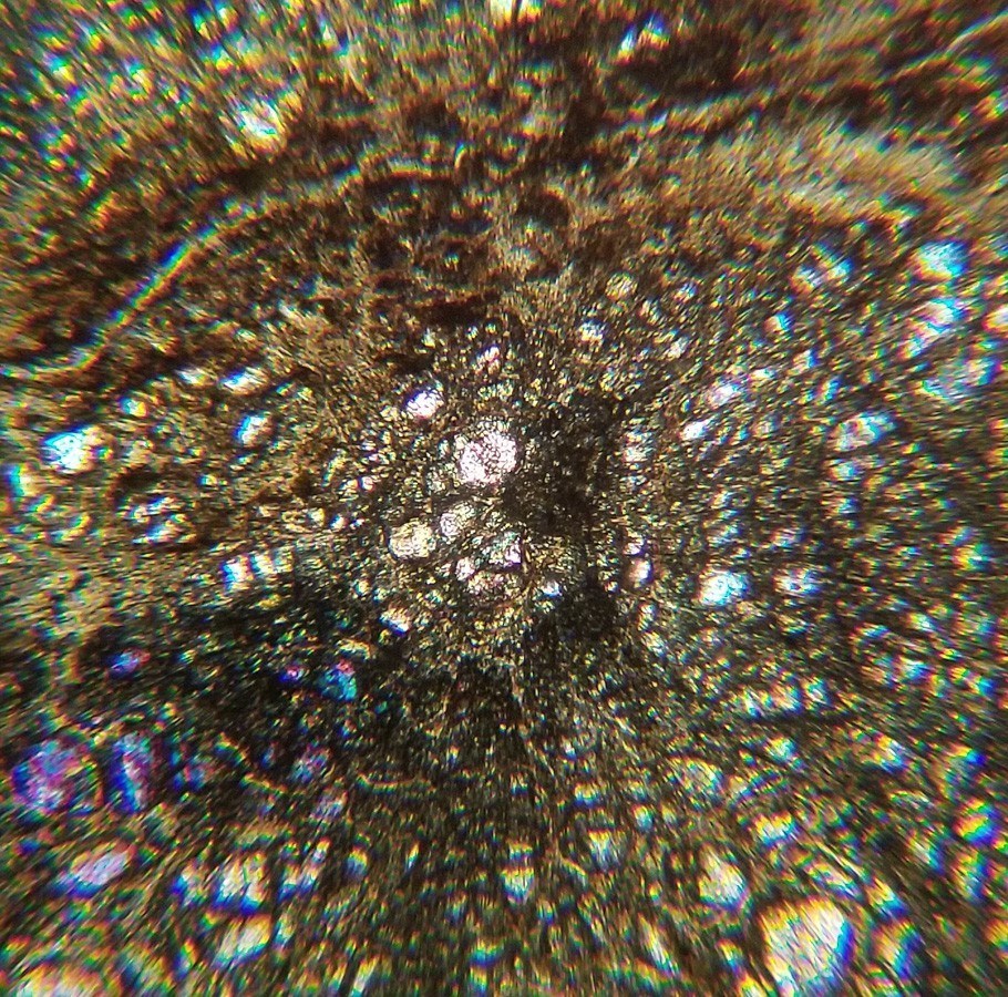Partially Serpentinized Peridotite from Cypress Is Petrographic Microscope Slide