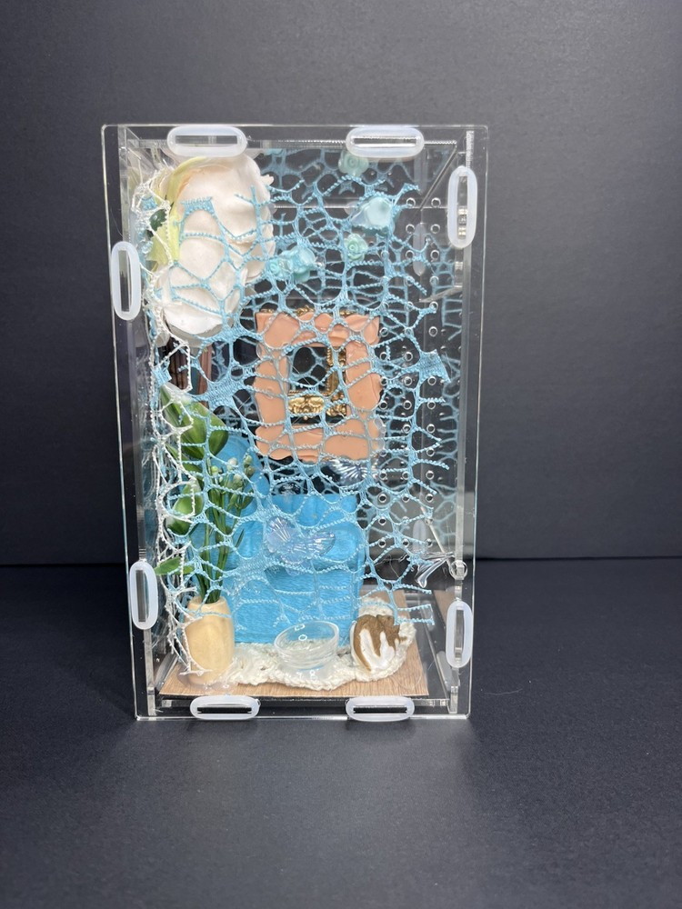 Front opening blue room Jumping Spider Enclosure