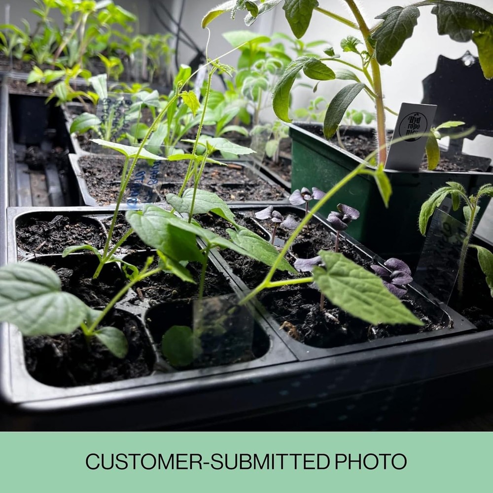 216-Cell Seed Starter Trays with Plant Stakes - Durable & Efficient Drainage