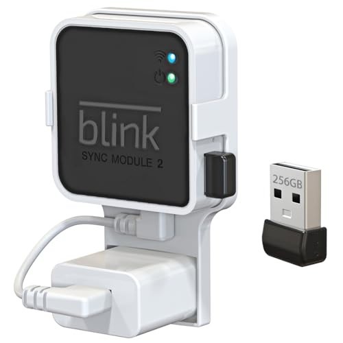 256GB USB Flash Drive with Wall Mount for Blink Security System - Space-Saving H