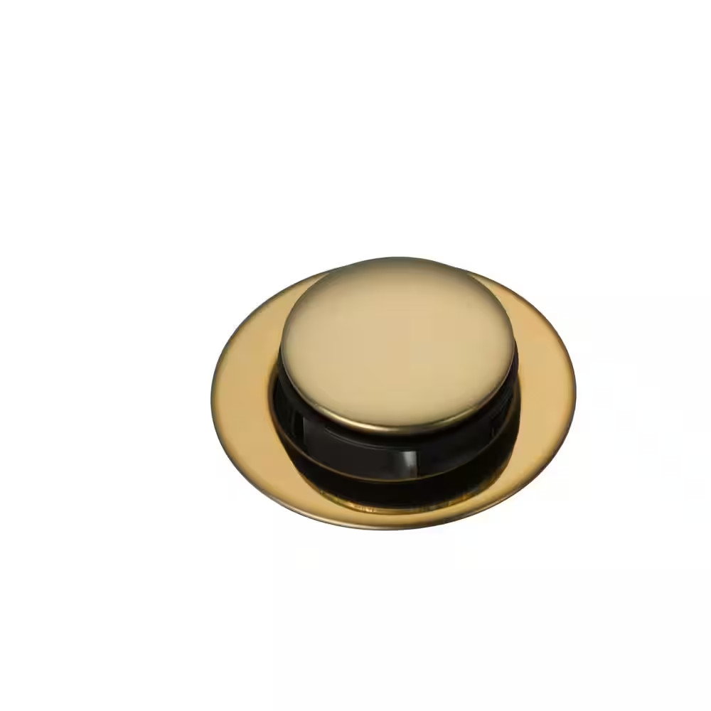 Drain Assembly in Polished Brass