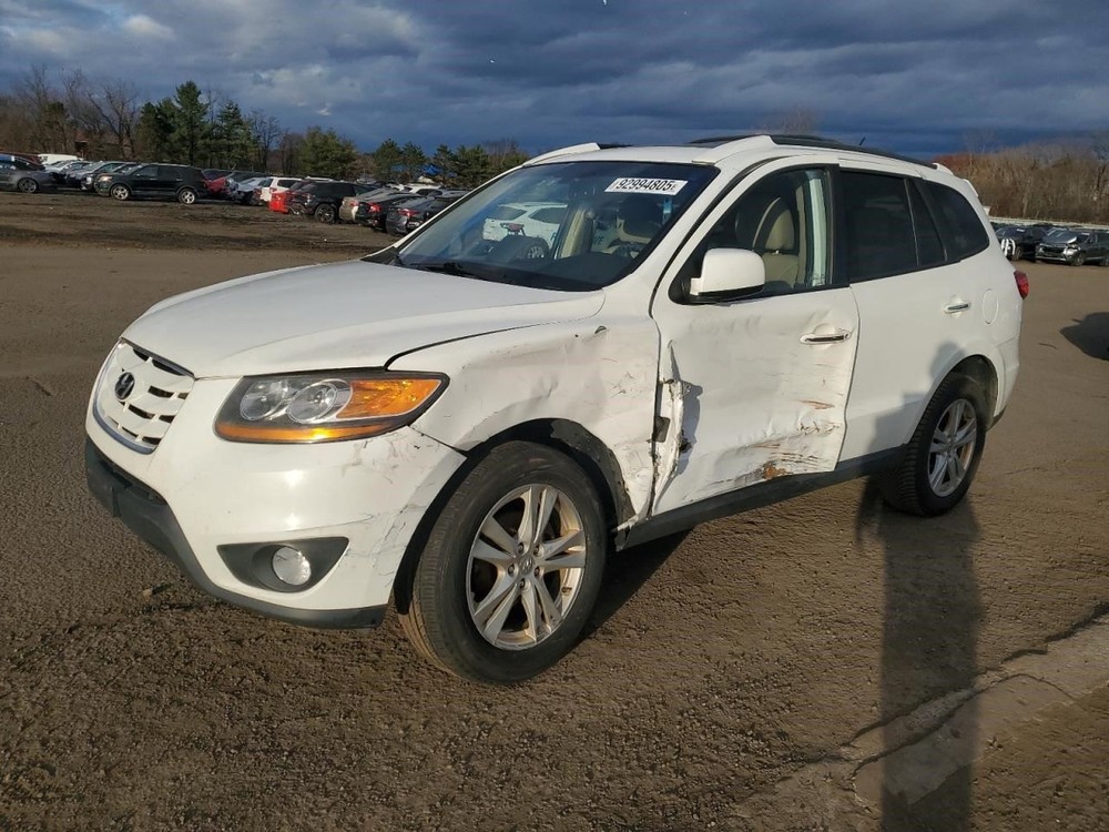 SANTA FE 2010 Glove Box OEM