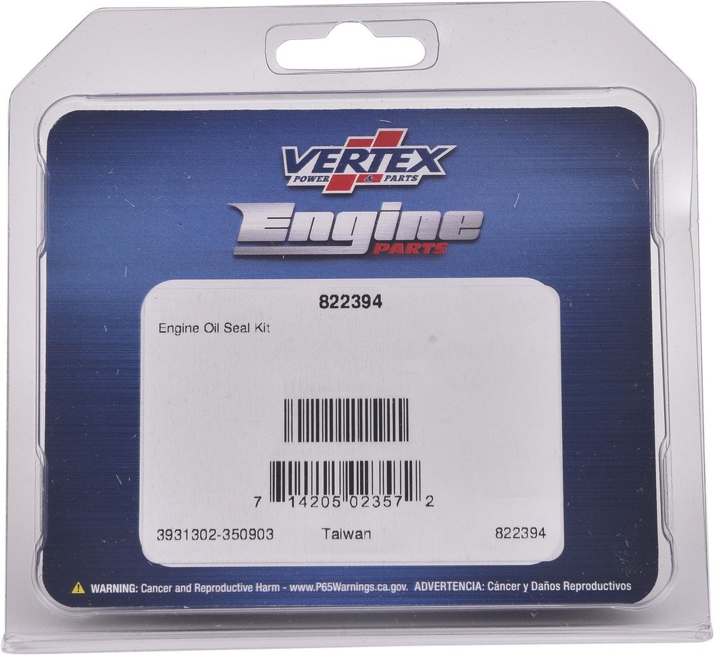 Oil Seal Kit