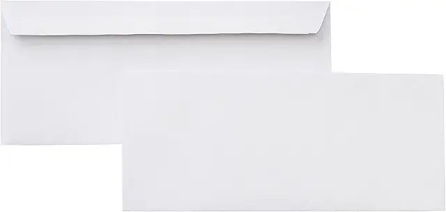 Paper envelope for your business or personal use