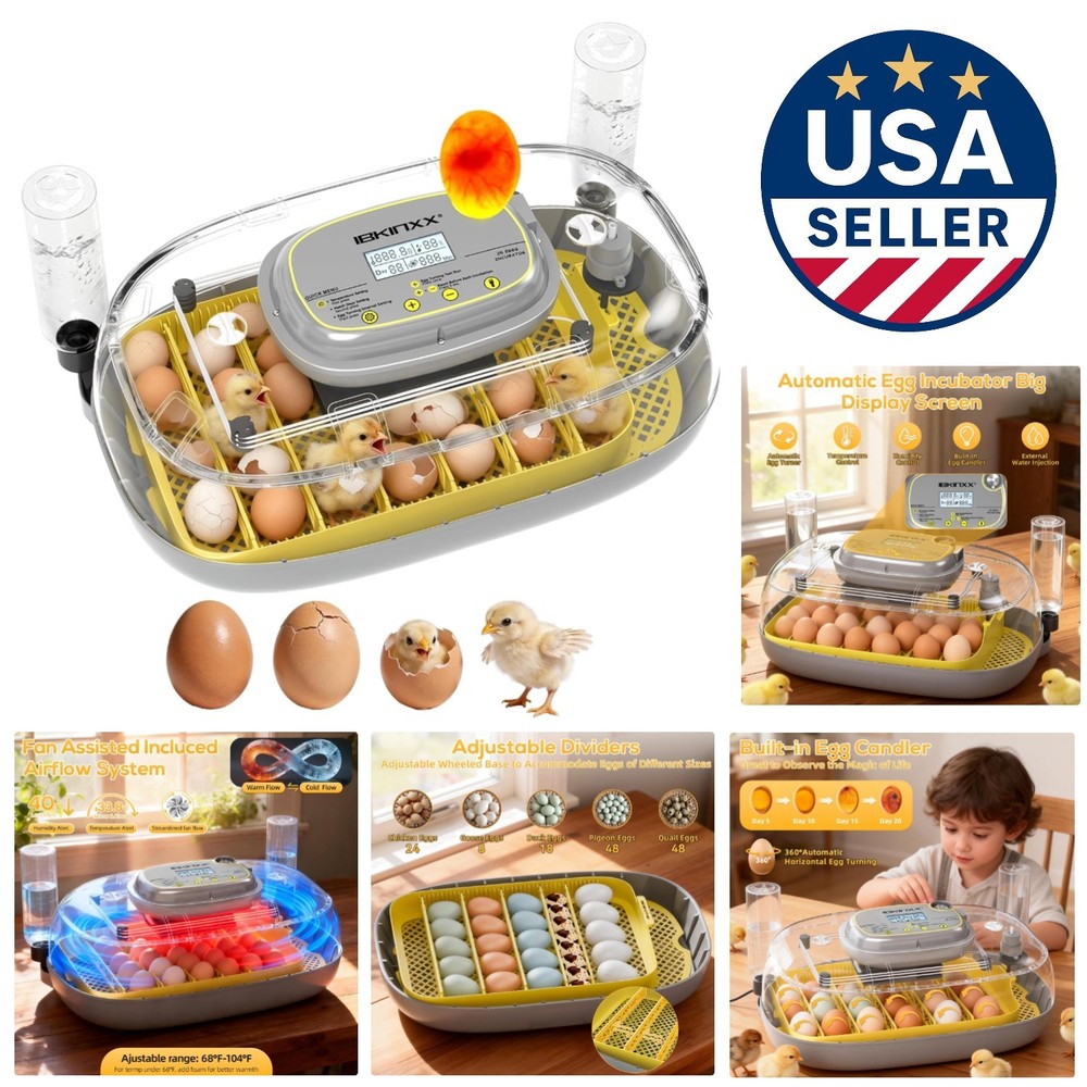 Automatic Egg Incubator - 24 Egg Capacity with Smart Temp Control & 360° View