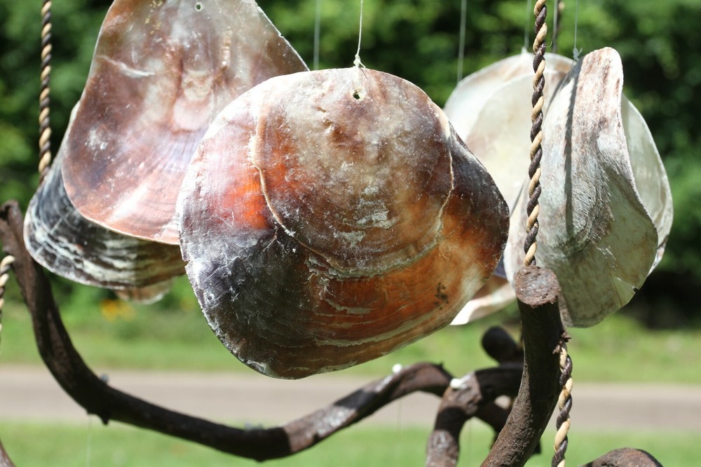 WINDCHIME,Large Seashell Windchime,beach decor,seashells,Beach Decor, gift G-37