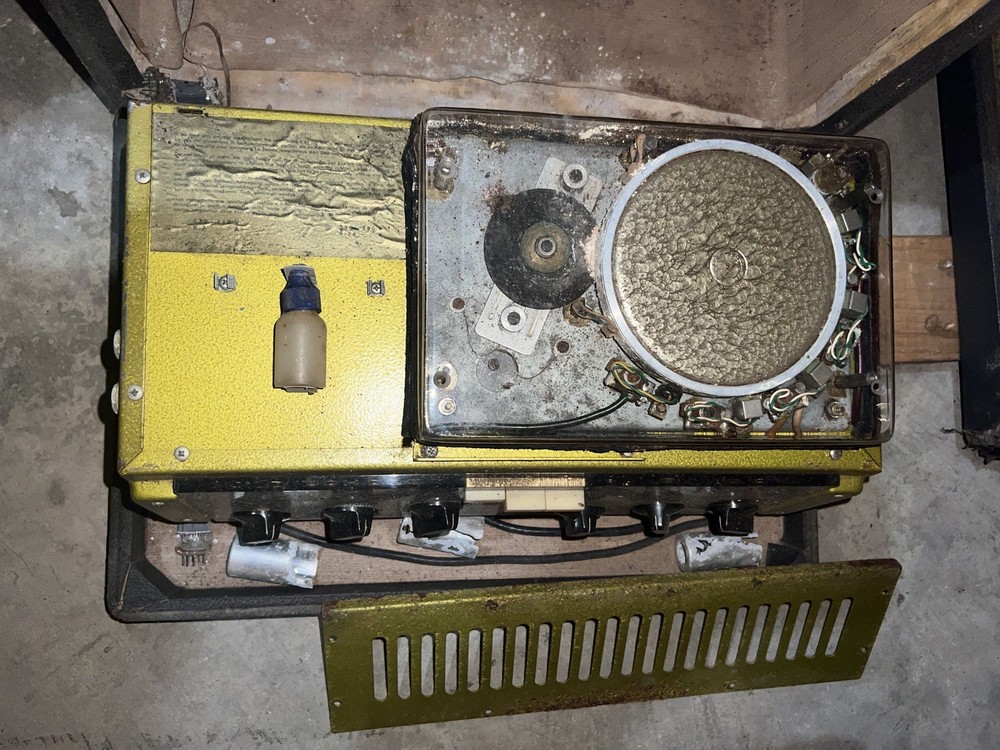 Guild Echorec Binson T6F-A Unit, 1960s, Read Description!