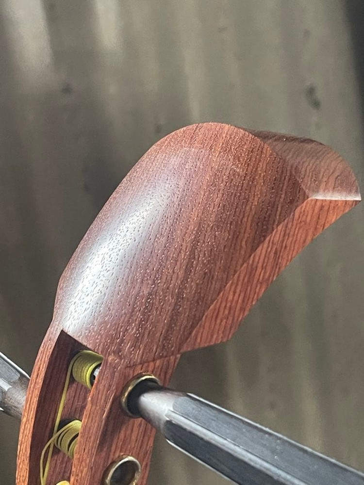 Luxury Shamisen With Case