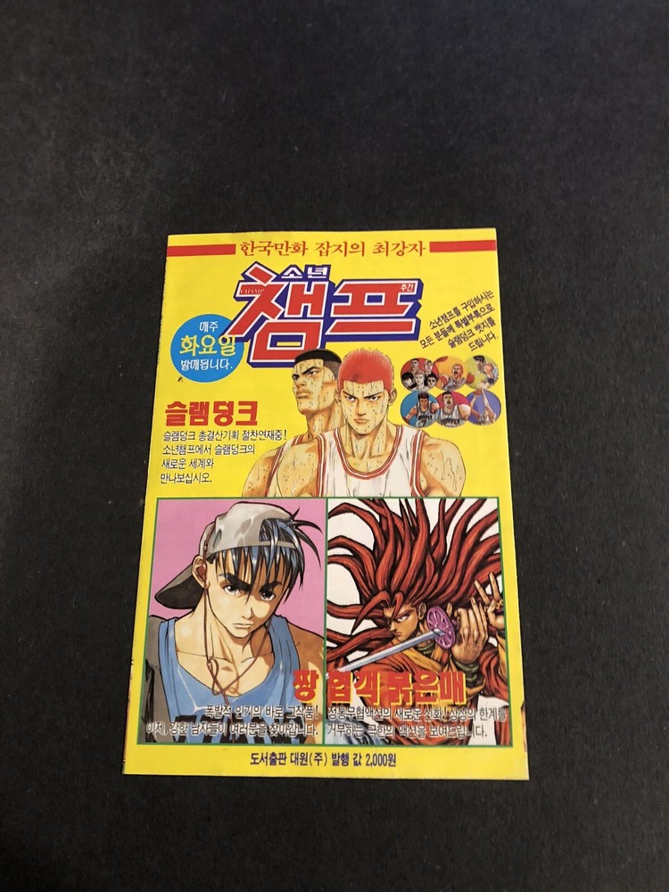 V Jump Slam Dunk Advertisement Insert