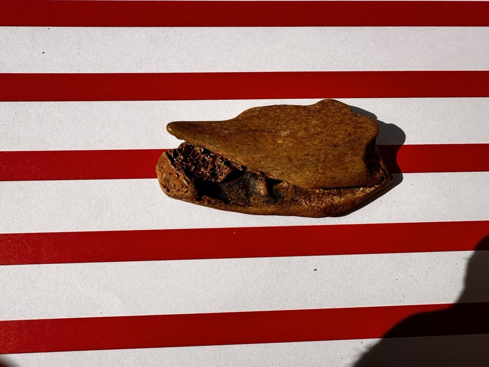 Artifacts: Native American Fishing Tools