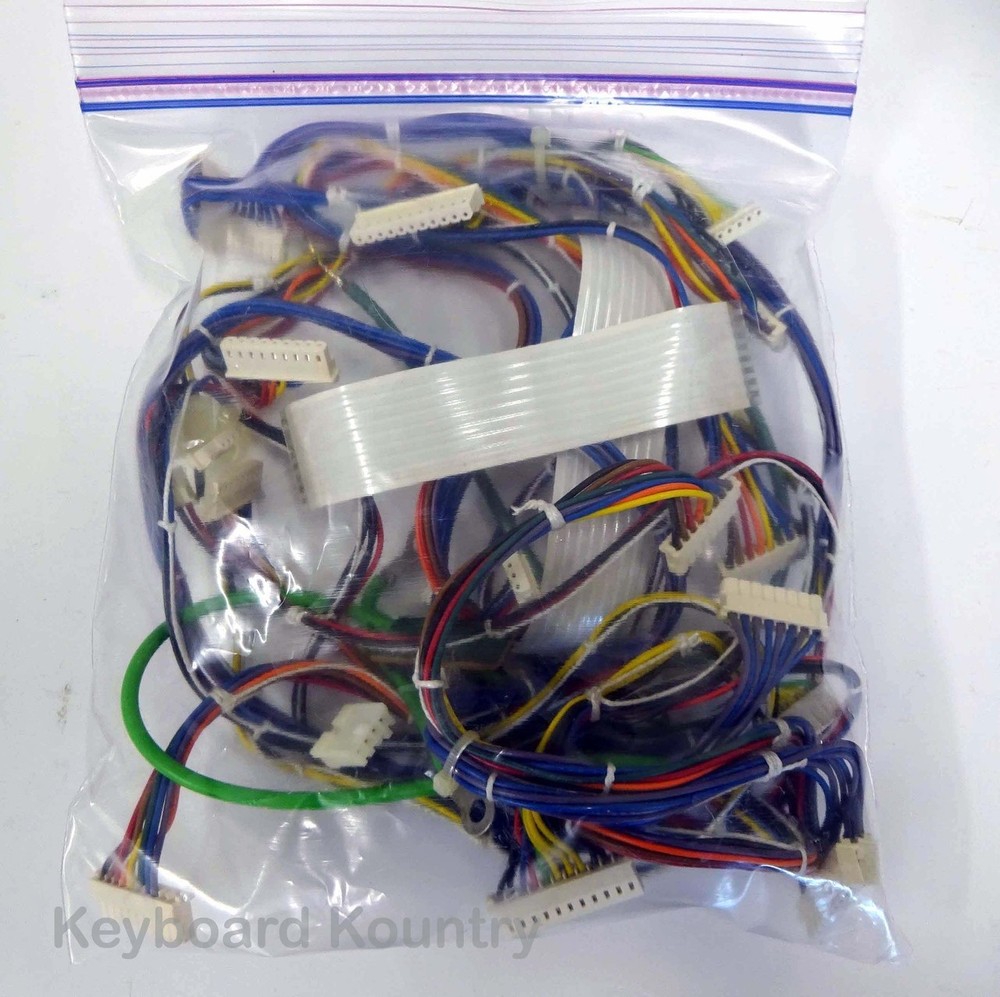 Roland S-10 Complete Wire/Cable Harness