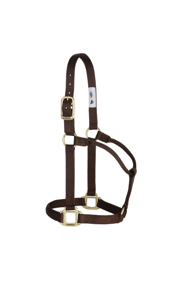 Original Non-Adjustable Halter , 1" Brown