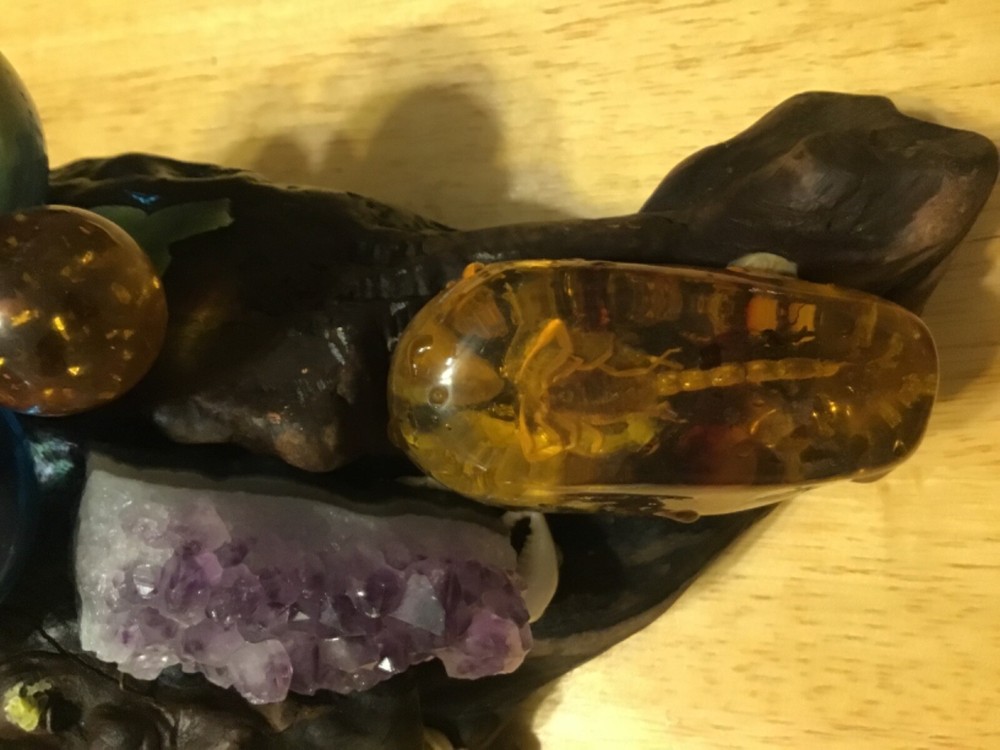 Petrified wood.With. Gems