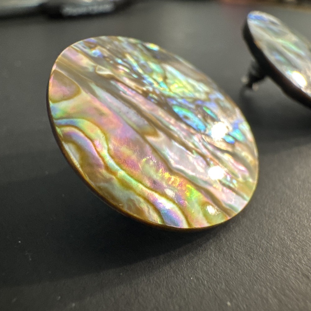 Chunky Abalone Boho Round Pierced Earrings