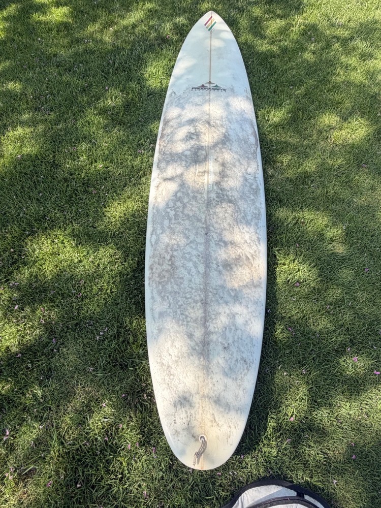 longboard surfboard, quad