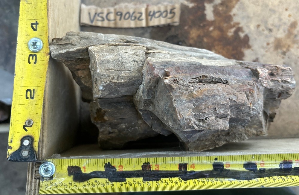 Silver Creek Junction petrified wood