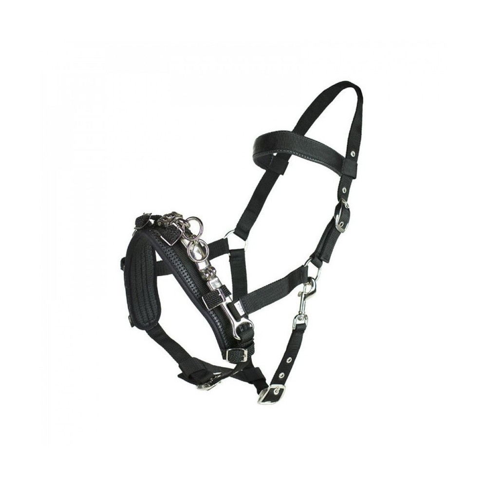HORZE Nylon Lunging Cavesson - Black - Cob