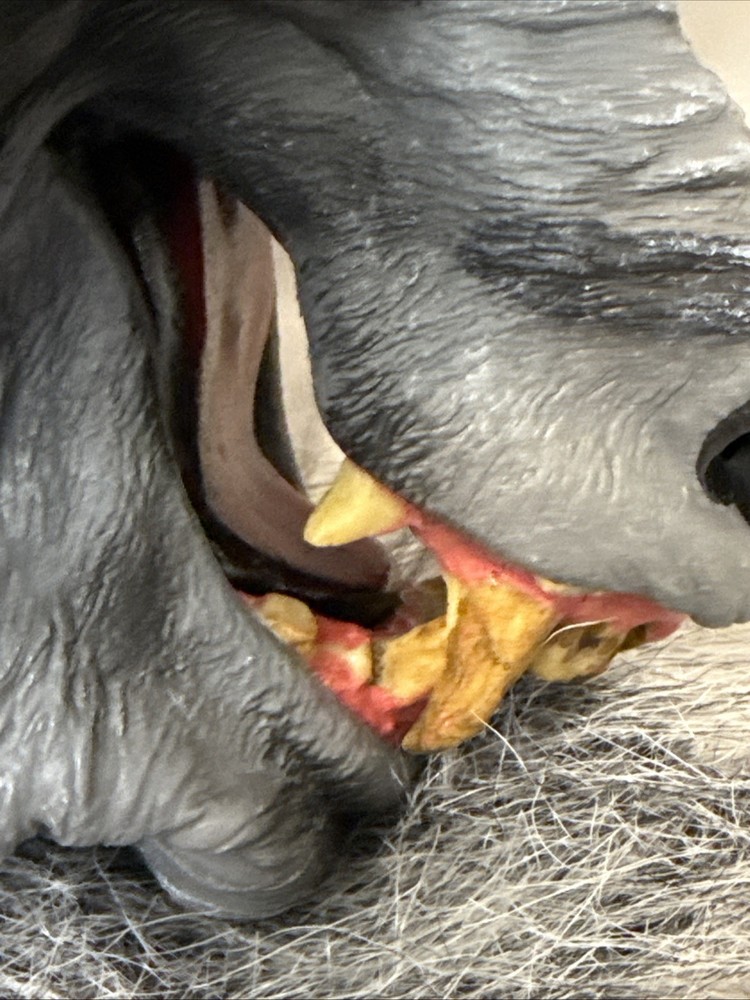 Warewolf Wolf Rubber Halloween Mask Unbranded 2014