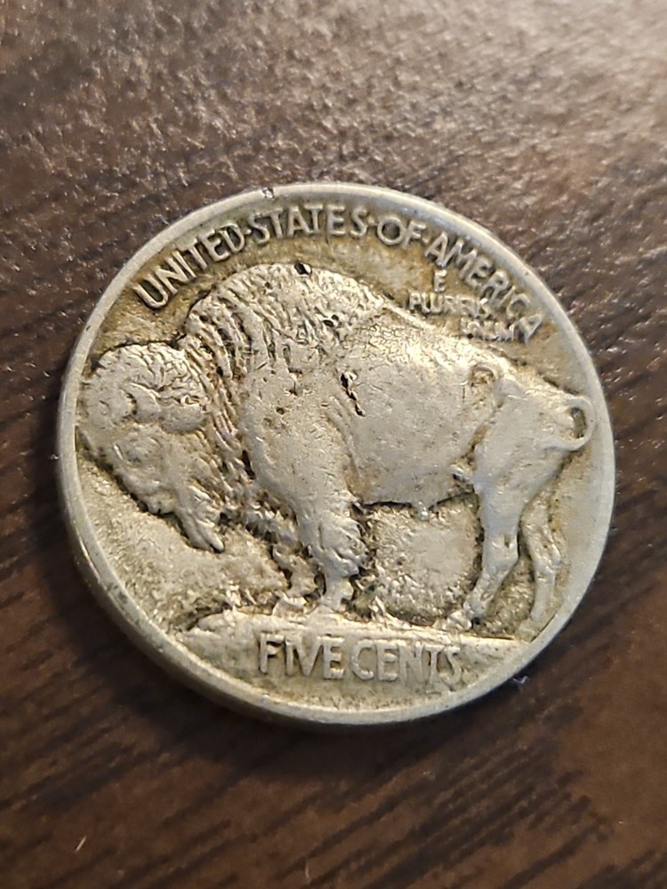 1913 P Type 1 Buffalo Nickel Full Horn