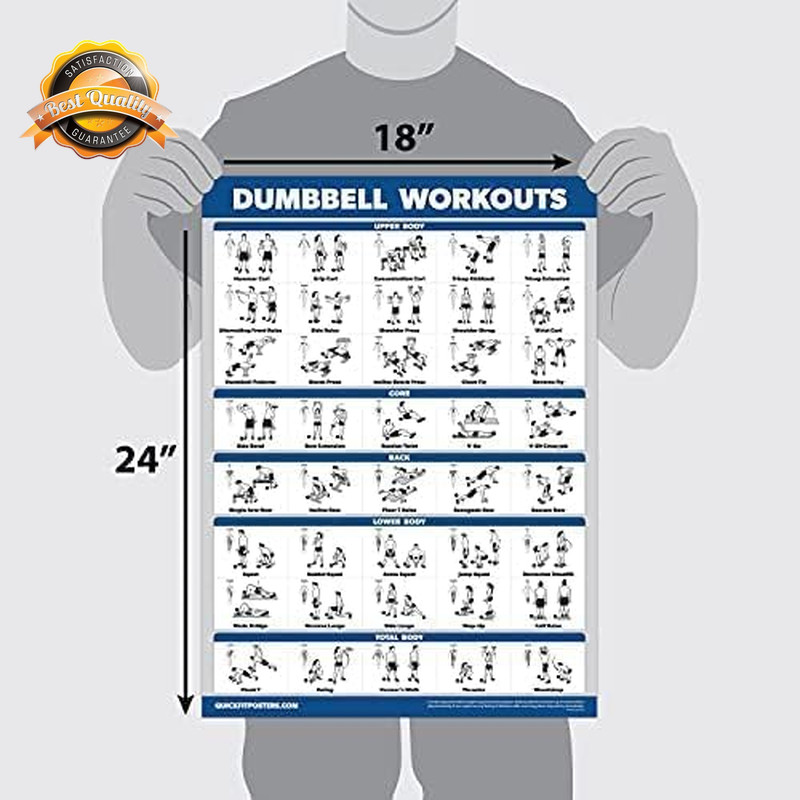 Dumbbell Workout Poster Laminated 18x24 Home Gym Exercise Guide Chart