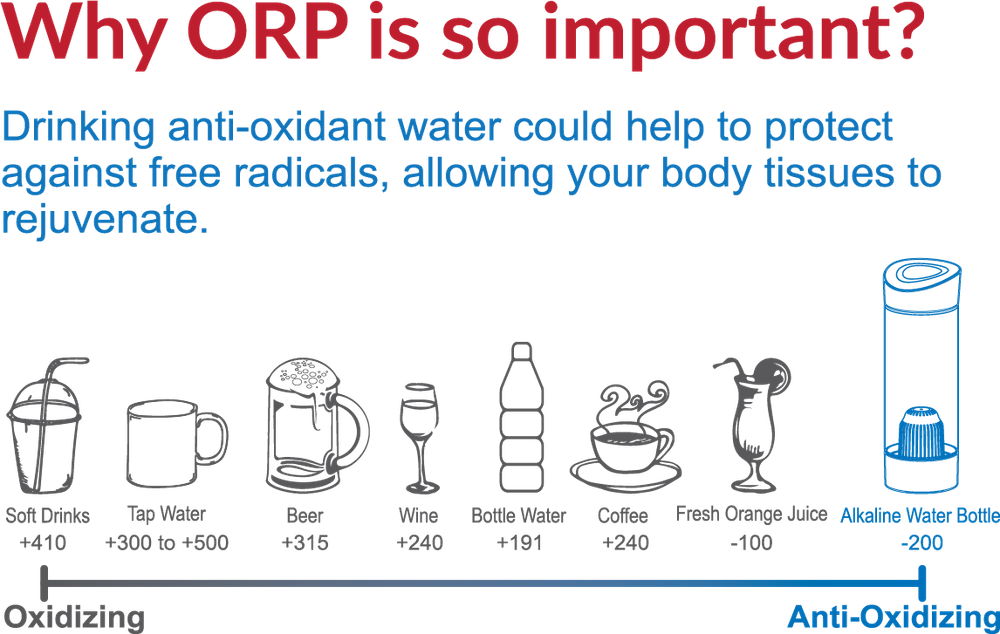 Alkaline Water Bottle