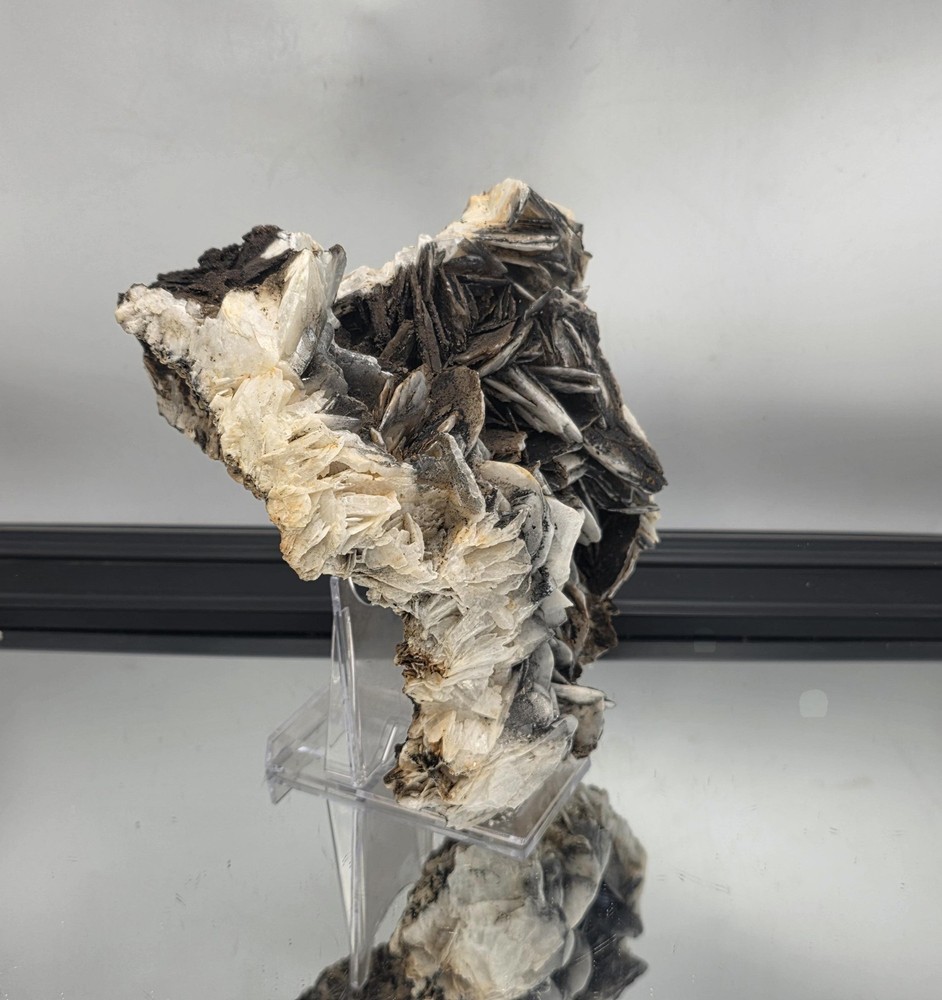 Large Noir Manganese Rose Crystal Baryte (#1)