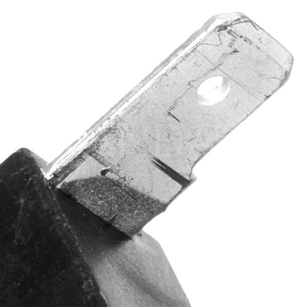 Standard Radio Capacitor