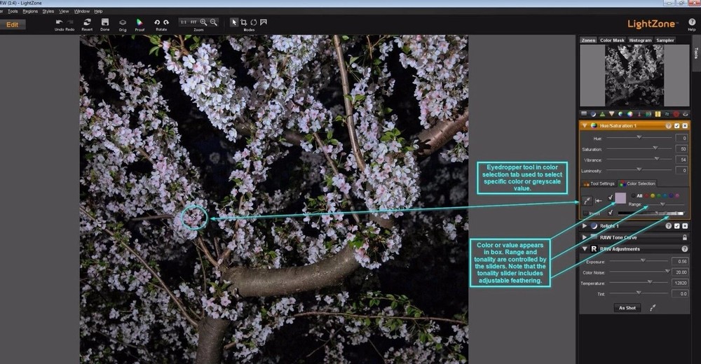 Pro Digital Photo Camera RAW Image Editing LightZone Software 2026 - Windows Mac