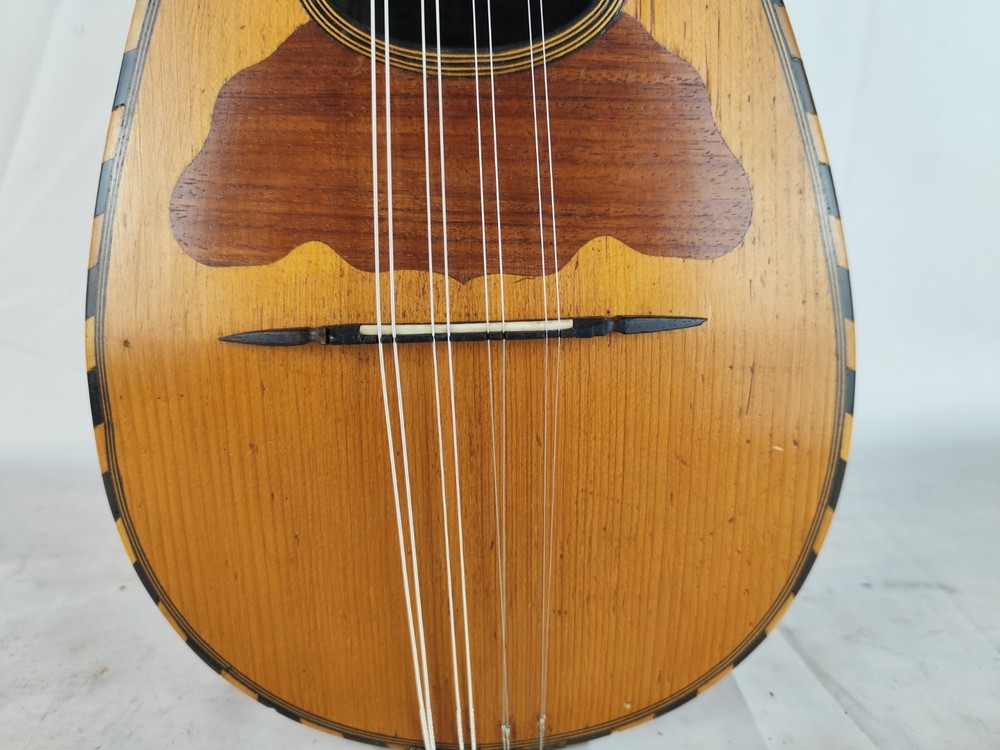 Mandolin Giuseppe Scanzoni 1920 Naples 曼陀林 만돌린マンドリン