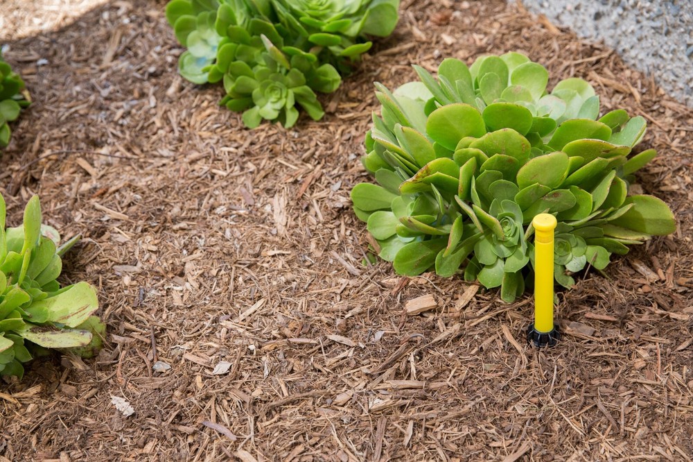 Hunter Eco-Indicator 6" Pop-Up Irrigation System Drip Operation Indicator Eco-ID