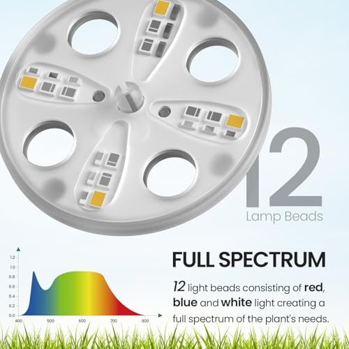 Seed Starter Tray with Lights, 2 Packs Mini 40-Cell 2-Pack With Light Black
