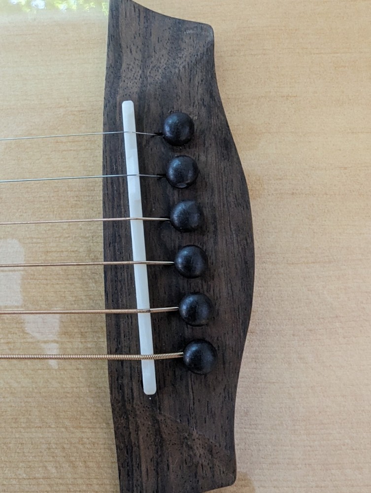 Washburn Bella Tono Elite W/Case