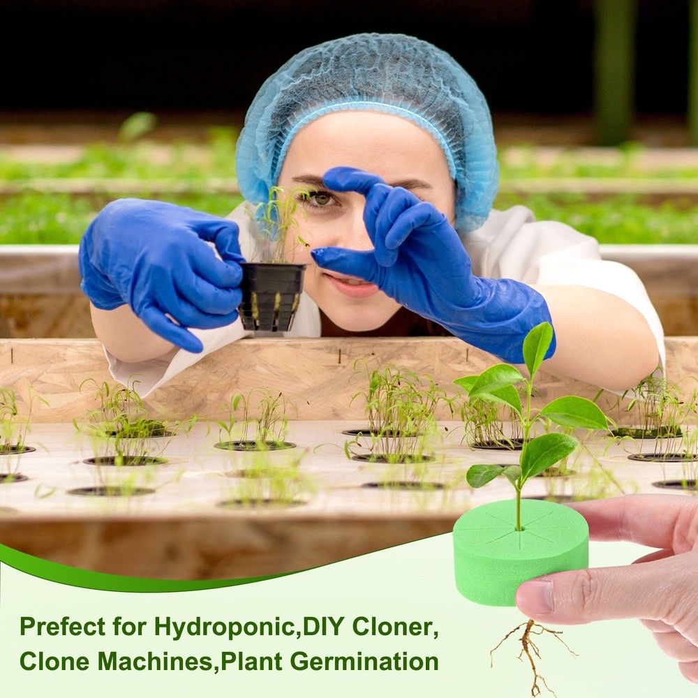 30-Pack Cloning Collars Inserts, Hydroponics Sponge Systems Cloning [Green]