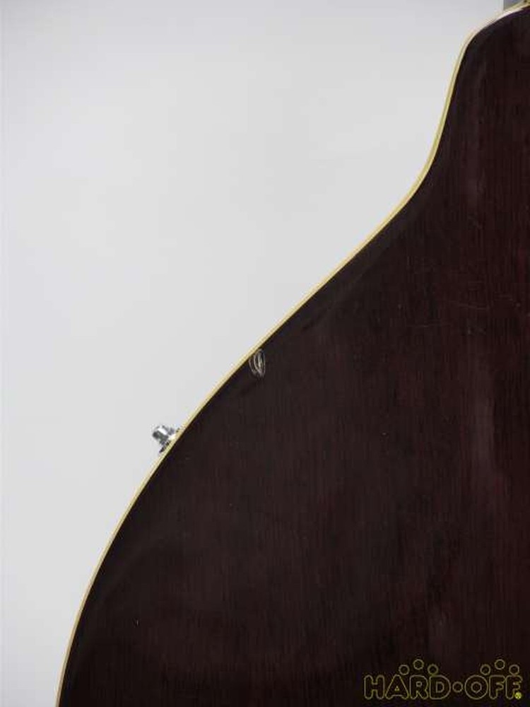 ARIA AM200E/BS Mandolin-01